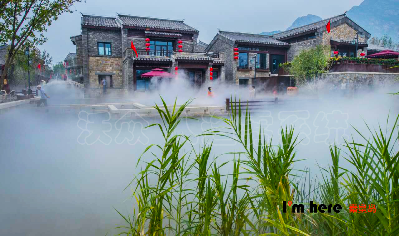 �����F�F��