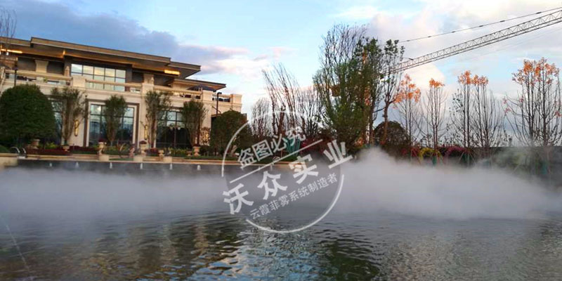 ����Fɭϵ�y